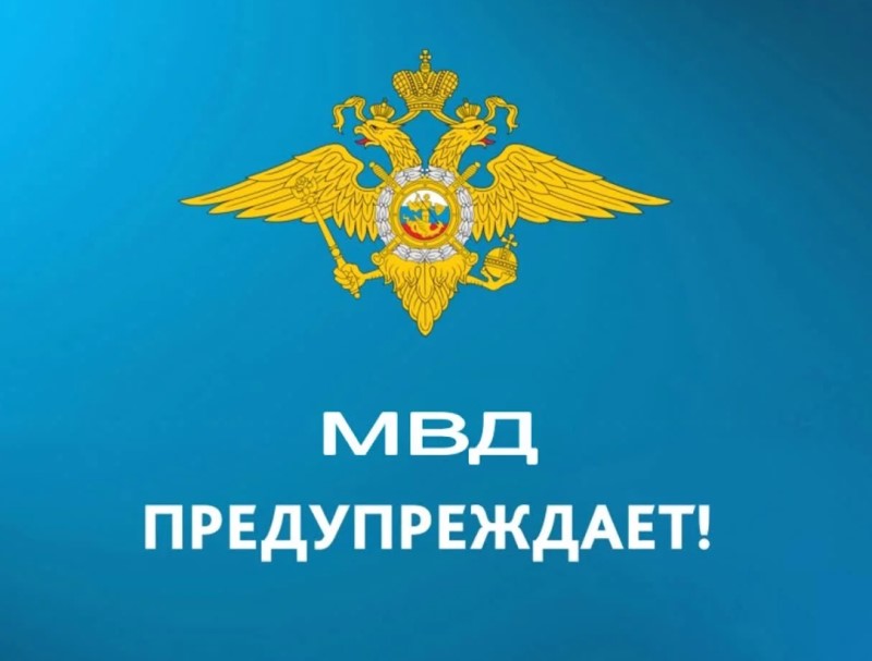 Министерства внутренних дел России (МВД России).